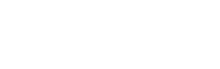 Grupo Sanro